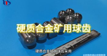 硬質(zhì)合金礦用球齒 硬質(zhì)合金礦用球齒圖片