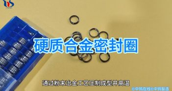 硬質(zhì)合金密封圈 硬質(zhì)合金密封圈圖片